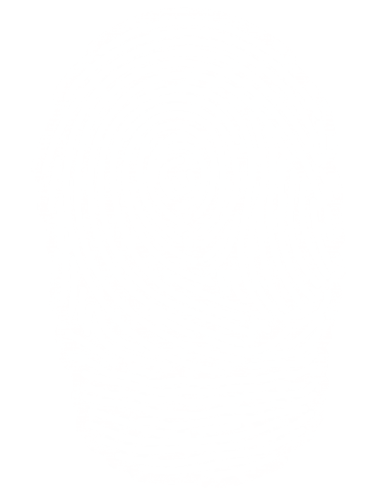 Future Payments Systems Logo